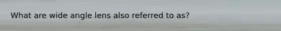 What are wide angle lens also referred to as?