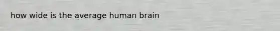 how wide is the average human brain