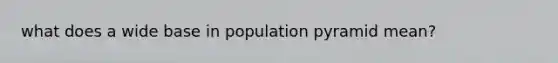 what does a wide base in population pyramid mean?