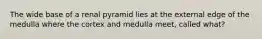 The wide base of a renal pyramid lies at the external edge of the medulla where the cortex and medulla meet, called what?