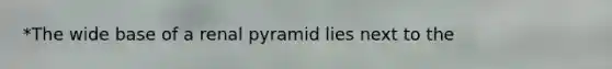 *The wide base of a renal pyramid lies next to the