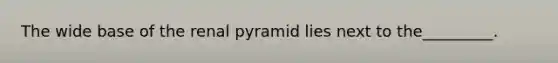 The wide base of the renal pyramid lies next to the_________.