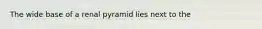 The wide base of a renal pyramid lies next to the