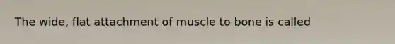 The wide, flat attachment of muscle to bone is called