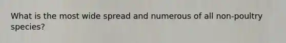 What is the most wide spread and numerous of all non-poultry species?