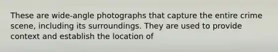 These are wide-angle photographs that capture the entire crime scene, including its surroundings. They are used to provide context and establish the location of