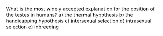 What is the most widely accepted explanation for the position of the testes in humans? a) the thermal hypothesis b) the handicapping hypothesis c) intersexual selection d) intrasexual selection e) inbreeding