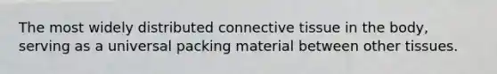 The most widely distributed connective tissue in the body, serving as a universal packing material between other tissues.