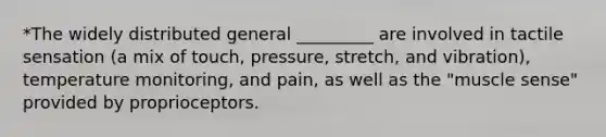 *The widely distributed general _________ are involved in tactile sensation (a mix of touch, pressure, stretch, and vibration), temperature monitoring, and pain, as well as the "muscle sense" provided by proprioceptors.