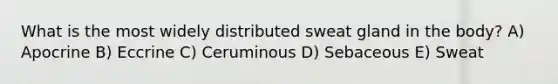 What is the most widely distributed sweat gland in the body? A) Apocrine B) Eccrine C) Ceruminous D) Sebaceous E) Sweat