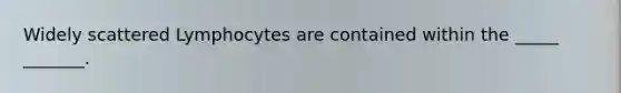 Widely scattered Lymphocytes are contained within the _____ _______.