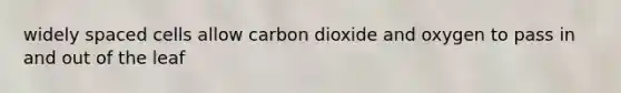 widely spaced cells allow carbon dioxide and oxygen to pass in and out of the leaf