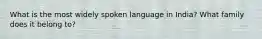 What is the most widely spoken language in India? What family does it belong to?