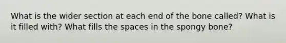 What is the wider section at each end of the bone called? What is it filled with? What fills <a href='https://www.questionai.com/knowledge/k0Lyloclid-the-space' class='anchor-knowledge'>the space</a>s in the spongy bone?