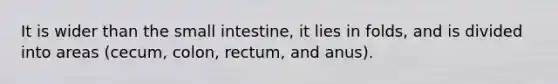 It is wider than the small intestine, it lies in folds, and is divided into areas (cecum, colon, rectum, and anus).