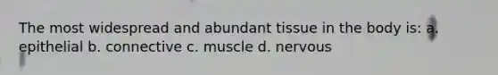 The most widespread and abundant tissue in the body is: a. epithelial b. connective c. muscle d. nervous