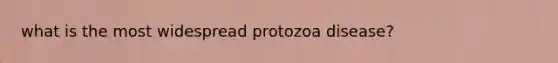 what is the most widespread protozoa disease?