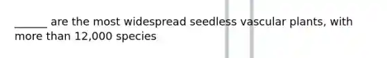 ______ are the most widespread seedless vascular plants, with more than 12,000 species