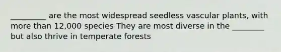 _________ are the most widespread seedless vascular plants, with more than 12,000 species They are most diverse in the ________ but also thrive in temperate forests