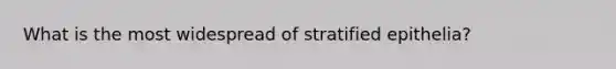 What is the most widespread of stratified epithelia?