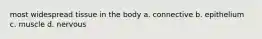 most widespread tissue in the body a. connective b. epithelium c. muscle d. nervous