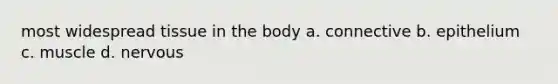 most widespread tissue in the body a. connective b. epithelium c. muscle d. nervous