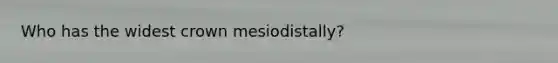 Who has the widest crown mesiodistally?