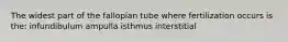 The widest part of the fallopian tube where fertilization occurs is the: infundibulum ampulla isthmus interstitial