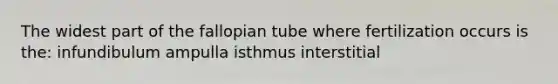 The widest part of the fallopian tube where fertilization occurs is the: infundibulum ampulla isthmus interstitial