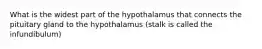 What is the widest part of the hypothalamus that connects the pituitary gland to the hypothalamus (stalk is called the infundibulum)