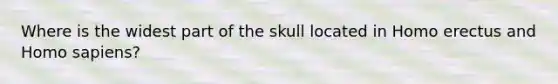 Where is the widest part of the skull located in Homo erectus and Homo sapiens?