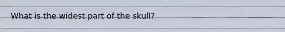 What is the widest part of the skull?