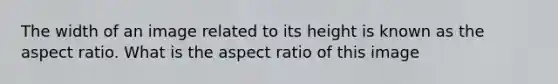 The width of an image related to its height is known as the aspect ratio. What is the aspect ratio of this image