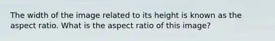 The width of the image related to its height is known as the aspect ratio. What is the aspect ratio of this image?