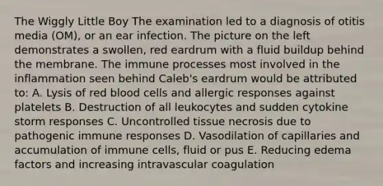 The Wiggly Little Boy The examination led to a diagnosis of otitis media (OM), or an ear infection. The picture on the left demonstrates a swollen, red eardrum with a fluid buildup behind the membrane. The immune processes most involved in the inflammation seen behind Caleb's eardrum would be attributed to: A. Lysis of red blood cells and allergic responses against platelets B. Destruction of all leukocytes and sudden cytokine storm responses C. Uncontrolled tissue necrosis due to pathogenic immune responses D. Vasodilation of capillaries and accumulation of immune cells, fluid or pus E. Reducing edema factors and increasing intravascular coagulation