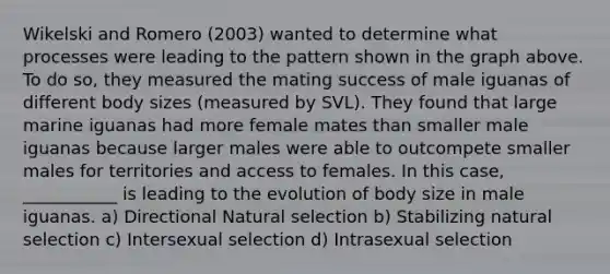 Wikelski and Romero (2003) wanted to determine what processes were leading to the pattern shown in the graph above. To do so, they measured the mating success of male iguanas of different body sizes (measured by SVL). They found that large marine iguanas had more female mates than smaller male iguanas because larger males were able to outcompete smaller males for territories and access to females. In this case, ___________ is leading to the evolution of body size in male iguanas. a) Directional Natural selection b) Stabilizing natural selection c) Intersexual selection d) Intrasexual selection