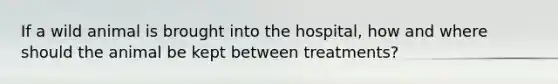 If a wild animal is brought into the hospital, how and where should the animal be kept between treatments?