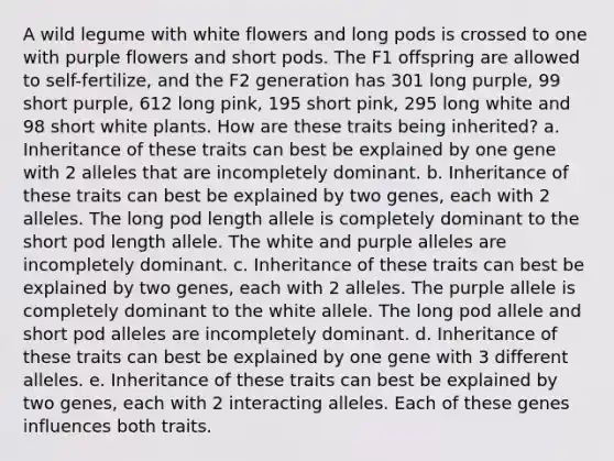 A wild legume with white flowers and long pods is crossed to one with purple flowers and short pods. The F1 offspring are allowed to self-fertilize, and the F2 generation has 301 long purple, 99 short purple, 612 long pink, 195 short pink, 295 long white and 98 short white plants. How are these traits being inherited? a. Inheritance of these traits can best be explained by one gene with 2 alleles that are incompletely dominant. b. Inheritance of these traits can best be explained by two genes, each with 2 alleles. The long pod length allele is completely dominant to the short pod length allele. The white and purple alleles are incompletely dominant. c. Inheritance of these traits can best be explained by two genes, each with 2 alleles. The purple allele is completely dominant to the white allele. The long pod allele and short pod alleles are incompletely dominant. d. Inheritance of these traits can best be explained by one gene with 3 different alleles. e. Inheritance of these traits can best be explained by two genes, each with 2 interacting alleles. Each of these genes influences both traits.