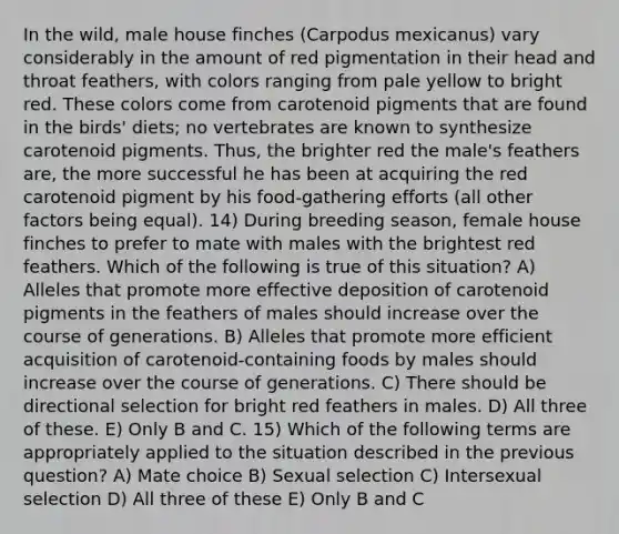 In the wild, male house finches (Carpodus mexicanus) vary considerably in the amount of red pigmentation in their head and throat feathers, with colors ranging from pale yellow to bright red. These colors come from carotenoid pigments that are found in the birds' diets; no vertebrates are known to synthesize carotenoid pigments. Thus, the brighter red the male's feathers are, the more successful he has been at acquiring the red carotenoid pigment by his food-gathering efforts (all other factors being equal). 14) During breeding season, female house finches to prefer to mate with males with the brightest red feathers. Which of the following is true of this situation? A) Alleles that promote more effective deposition of carotenoid pigments in the feathers of males should increase over the course of generations. B) Alleles that promote more efficient acquisition of carotenoid-containing foods by males should increase over the course of generations. C) There should be directional selection for bright red feathers in males. D) All three of these. E) Only B and C. 15) Which of the following terms are appropriately applied to the situation described in the previous question? A) Mate choice B) Sexual selection C) Intersexual selection D) All three of these E) Only B and C