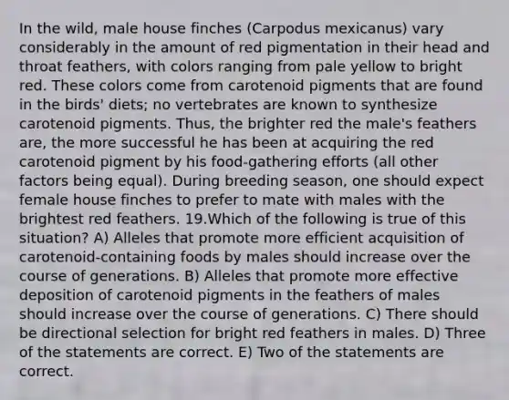 In the wild, male house finches (Carpodus mexicanus) vary considerably in the amount of red pigmentation in their head and throat feathers, with colors ranging from pale yellow to bright red. These colors come from carotenoid pigments that are found in the birds' diets; no vertebrates are known to synthesize carotenoid pigments. Thus, the brighter red the male's feathers are, the more successful he has been at acquiring the red carotenoid pigment by his food-gathering efforts (all other factors being equal). During breeding season, one should expect female house finches to prefer to mate with males with the brightest red feathers. 19.Which of the following is true of this situation? A) Alleles that promote more efficient acquisition of carotenoid-containing foods by males should increase over the course of generations. B) Alleles that promote more effective deposition of carotenoid pigments in the feathers of males should increase over the course of generations. C) There should be directional selection for bright red feathers in males. D) Three of the statements are correct. E) Two of the statements are correct.