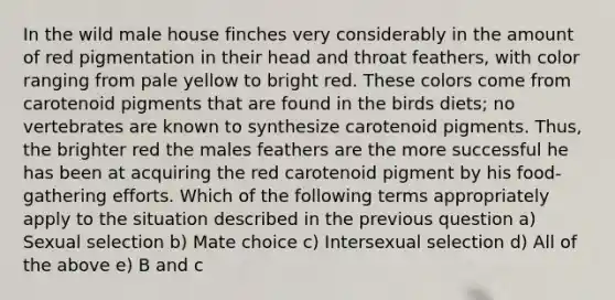 In the wild male house finches very considerably in the amount of red pigmentation in their head and throat feathers, with color ranging from pale yellow to bright red. These colors come from carotenoid pigments that are found in the birds diets; no vertebrates are known to synthesize carotenoid pigments. Thus, the brighter red the males feathers are the more successful he has been at acquiring the red carotenoid pigment by his food-gathering efforts. Which of the following terms appropriately apply to the situation described in the previous question a) Sexual selection b) Mate choice c) Intersexual selection d) All of the above e) B and c