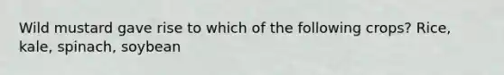 Wild mustard gave rise to which of the following crops? Rice, kale, spinach, soybean