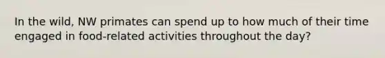 In the wild, NW primates can spend up to how much of their time engaged in food-related activities throughout the day?