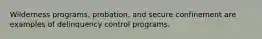 Wilderness programs, probation, and secure confinement are examples of delinquency control programs.