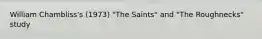 William Chambliss's (1973) "The Saints" and "The Roughnecks" study