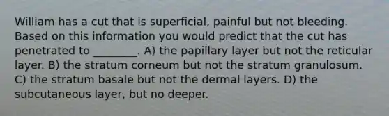 William has a cut that is superficial, painful but not bleeding. Based on this information you would predict that the cut has penetrated to ________. A) the papillary layer but not the reticular layer. B) the stratum corneum but not the stratum granulosum. C) the stratum basale but not the dermal layers. D) the subcutaneous layer, but no deeper.