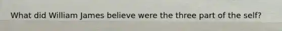 What did William James believe were the three part of the self?