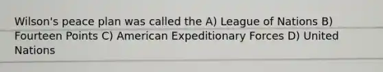 Wilson's peace plan was called the A) League of Nations B) Fourteen Points C) American Expeditionary Forces D) United Nations