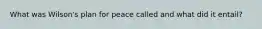What was Wilson's plan for peace called and what did it entail?