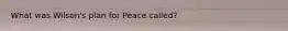 What was Wilson's plan for Peace called?